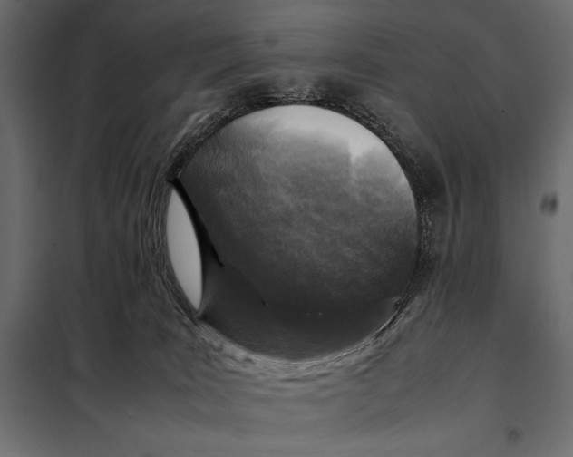 X0000098080035200804251523