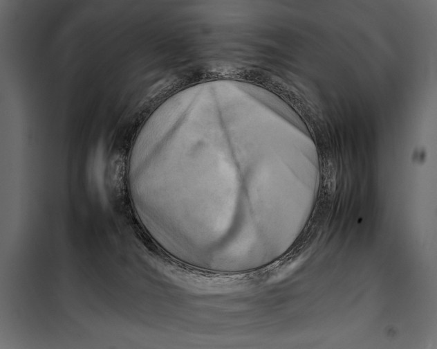 X0000098080036200804251523