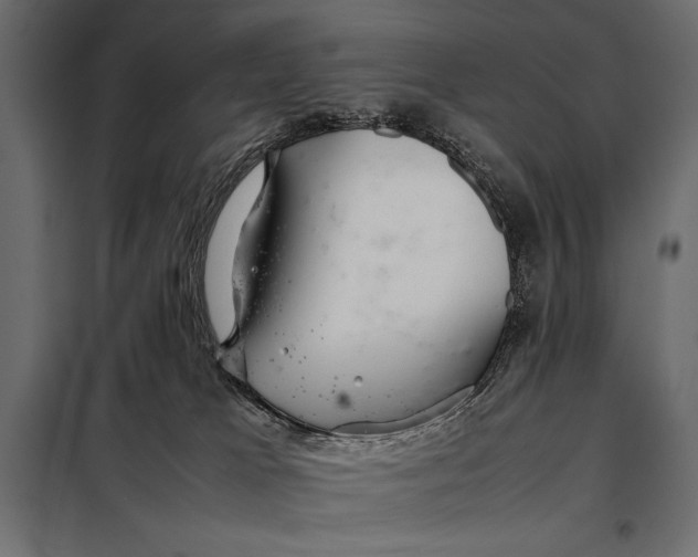 X0000098080037200804251523