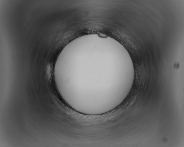 X0000098080038200804251523