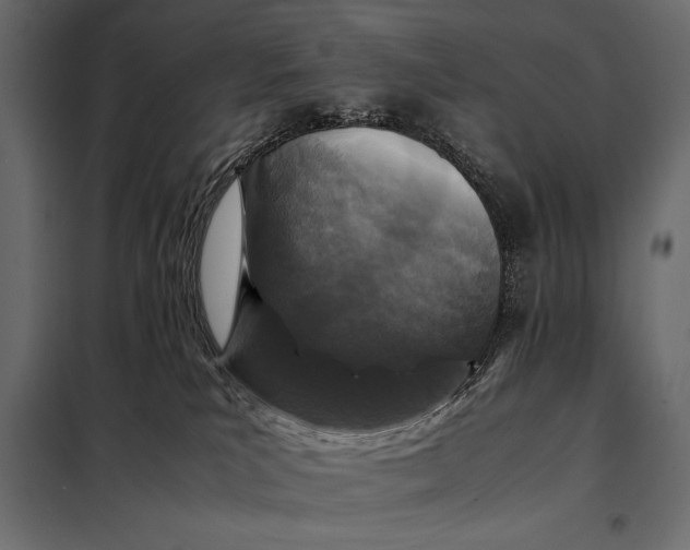 X0000098080039200804251523