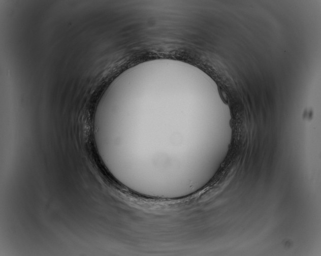 X0000098080040200804251523