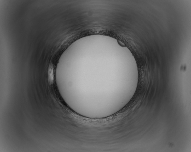 X0000098080042200804251523