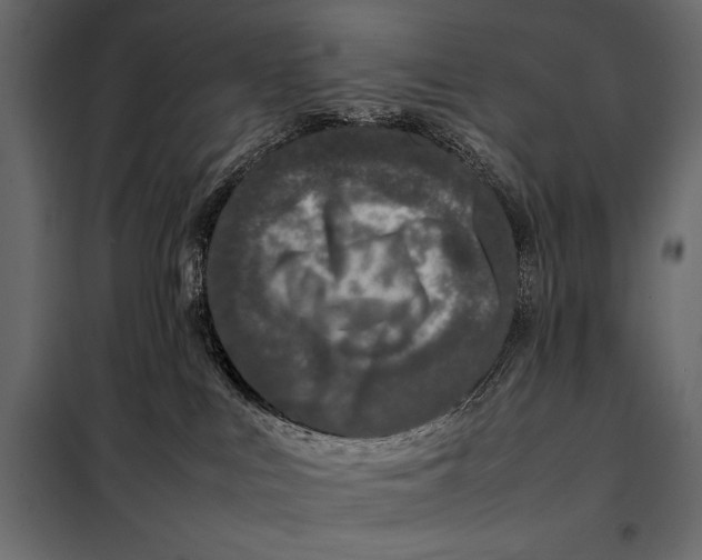 X0000098080043200804251523