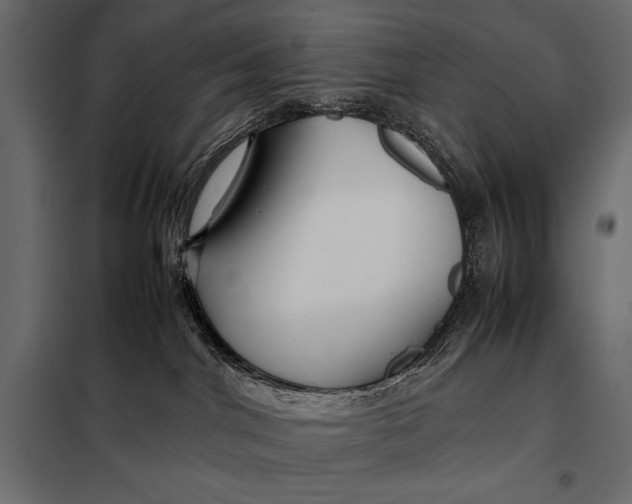 X0000098080044200804251523