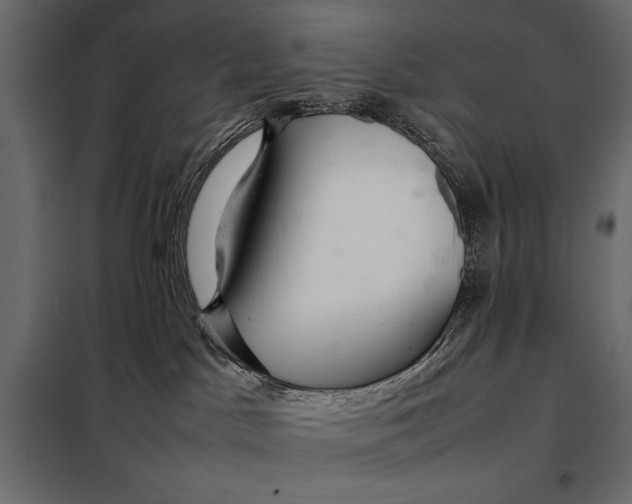 X0000098080045200804251523