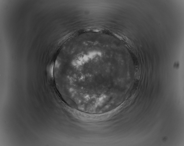 X0000098080047200804251523