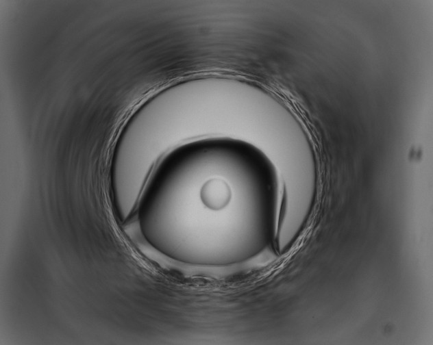 X0000098080049200804251523