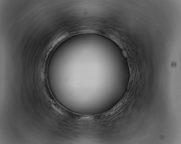 X0000098080050200804251523