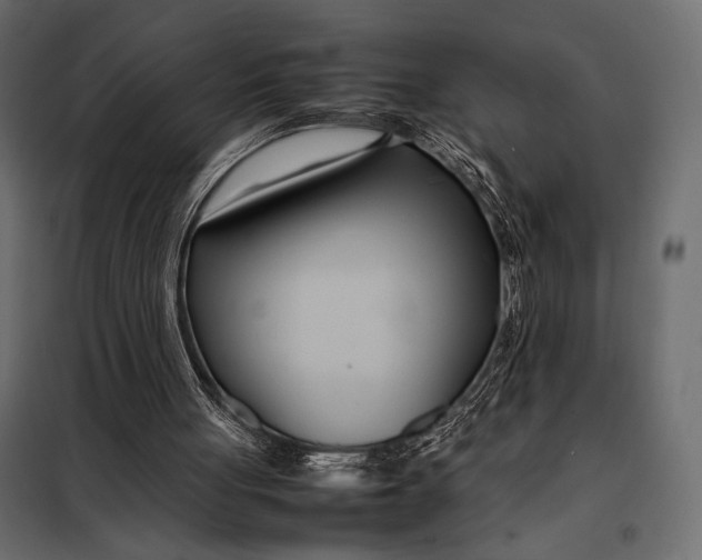 X0000098080051200804251523