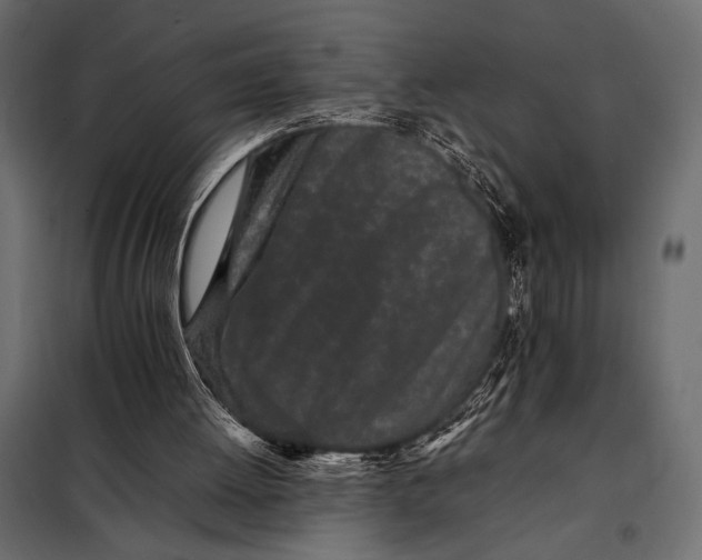 X0000098080052200804251523