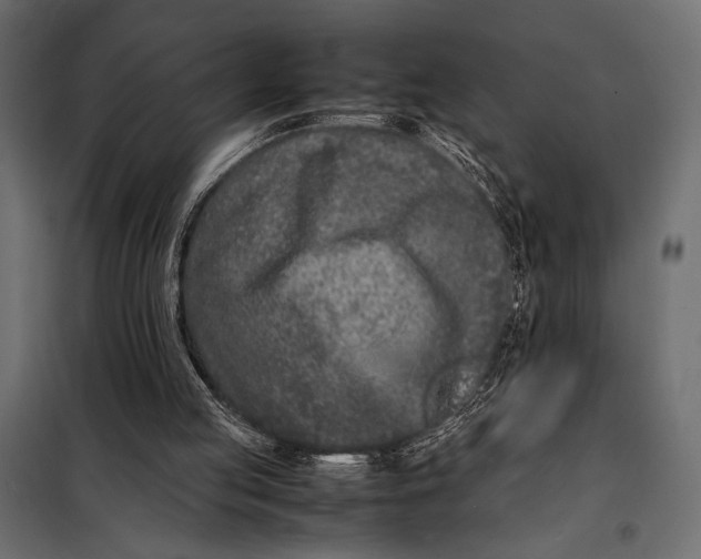 X0000098080053200804251523