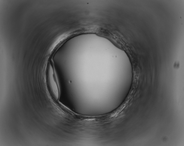 X0000098080054200804251523