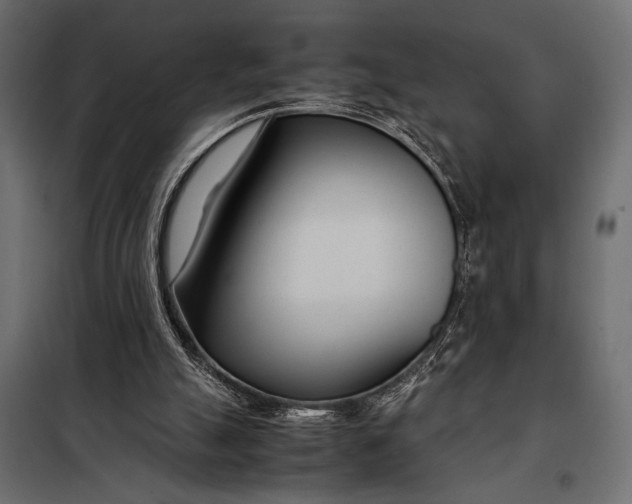 X0000098080055200804251523