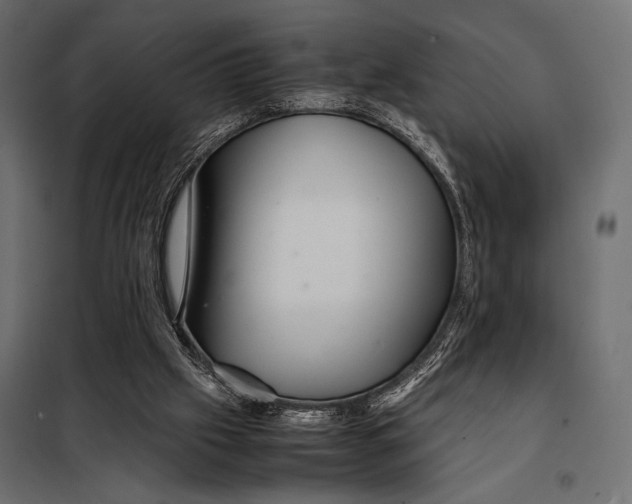 X0000098080057200804251523