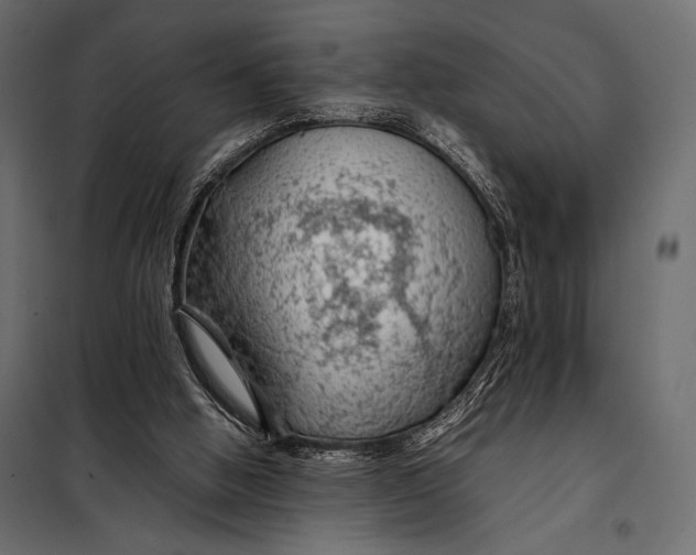 X0000098080058200804251523