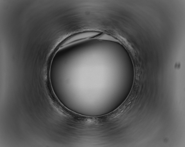 X0000098080060200804251523