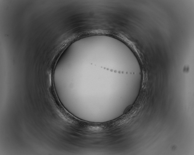 X0000098080061200804251523