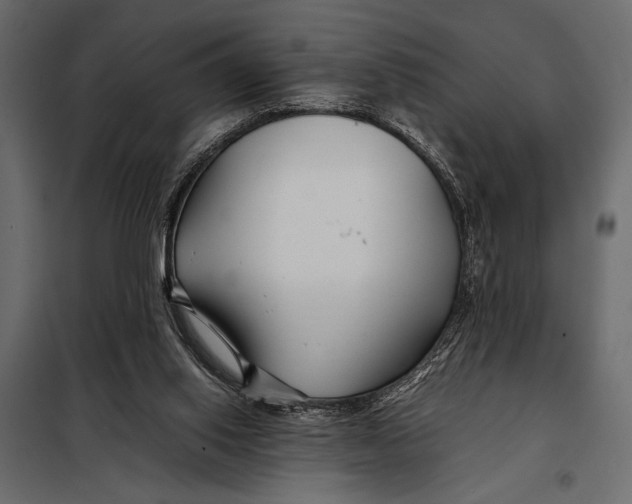 X0000098080062200804251523