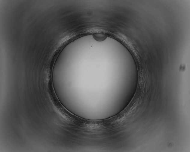 X0000098080063200804251523