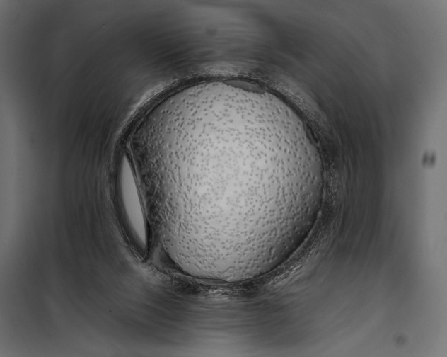 X0000098080064200804251523