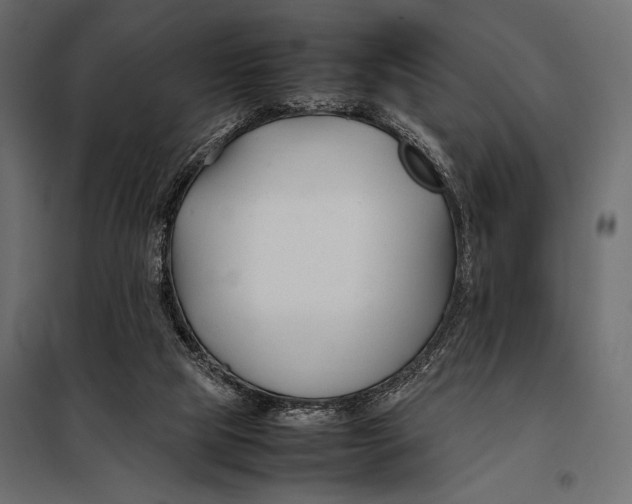 X0000098080065200804251523