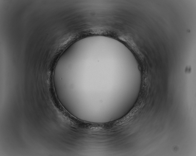 X0000098080066200804251523