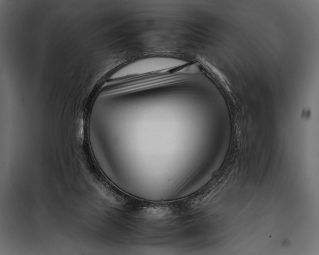 X0000098080067200804251523