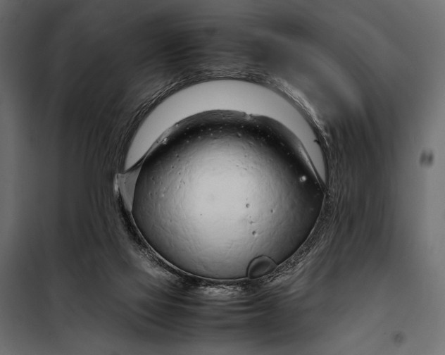 X0000098080069200804251523