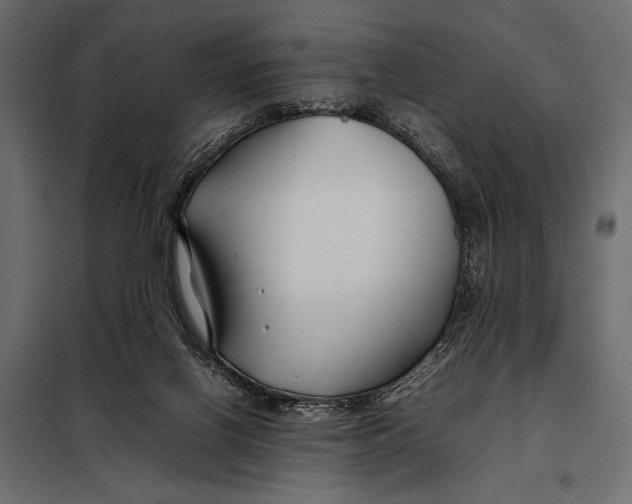 X0000098080070200804251523