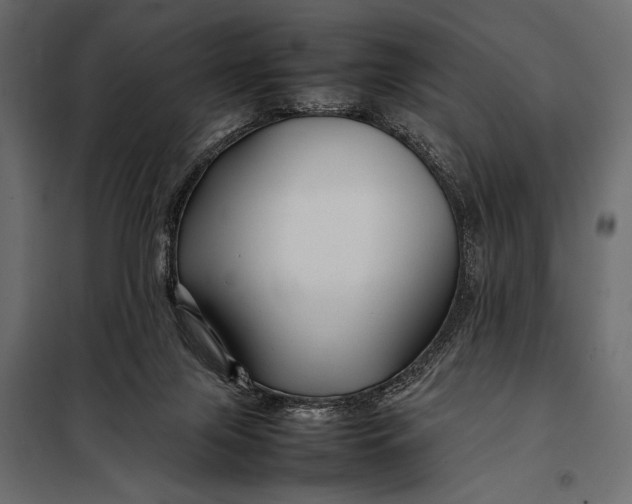 X0000098080071200804251523