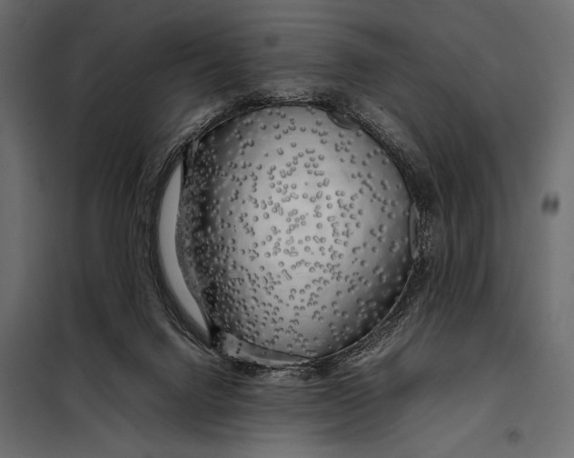 X0000098080072200804251523