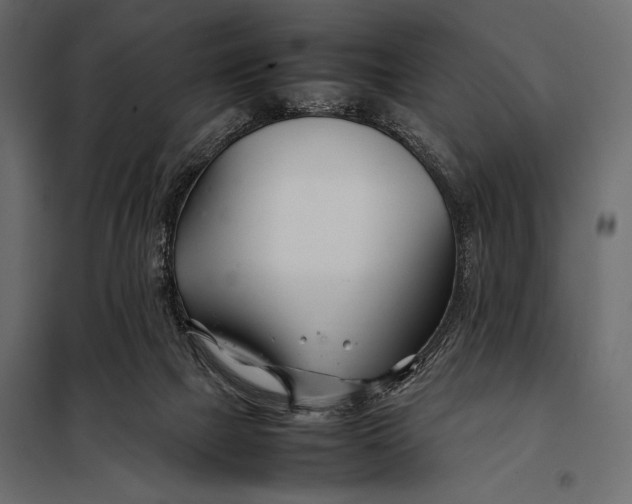 X0000098080073200804251523