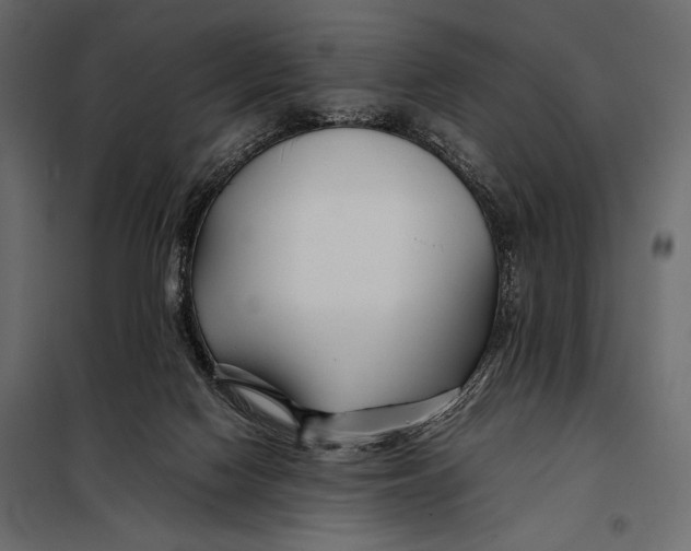 X0000098080074200804251523