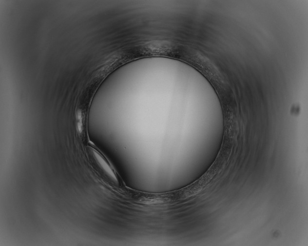 X0000098080075200804251523