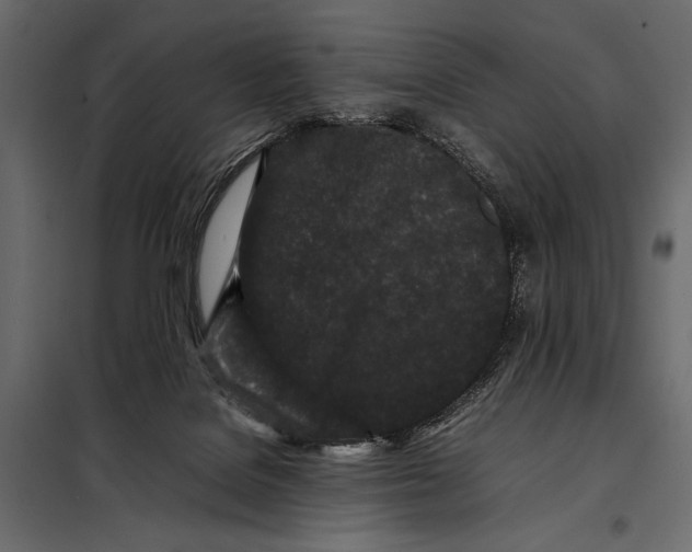 X0000098080076200804251523