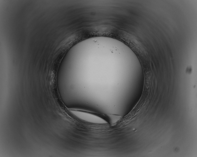 X0000098080077200804251523