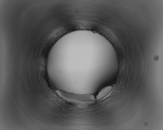 X0000098080078200804251523