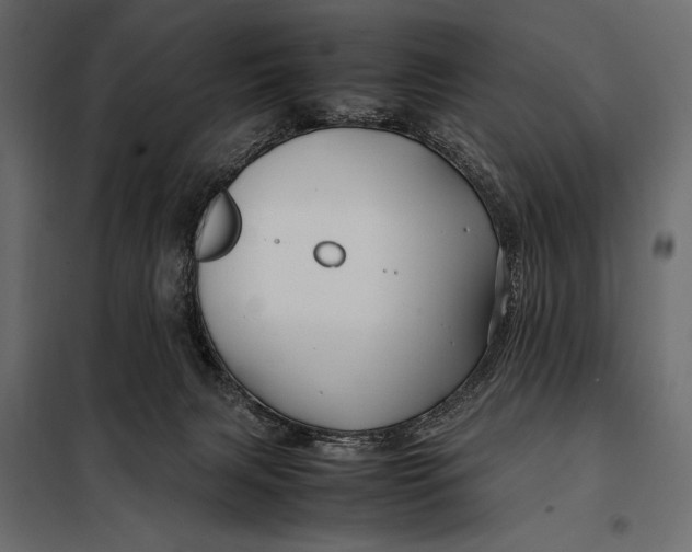 X0000098080079200804251523