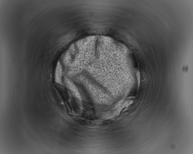 X0000098080080200804251523