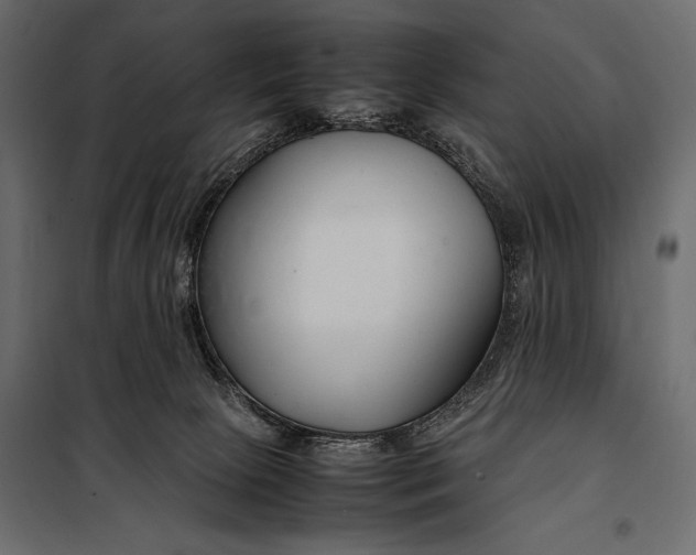 X0000098080081200804251523