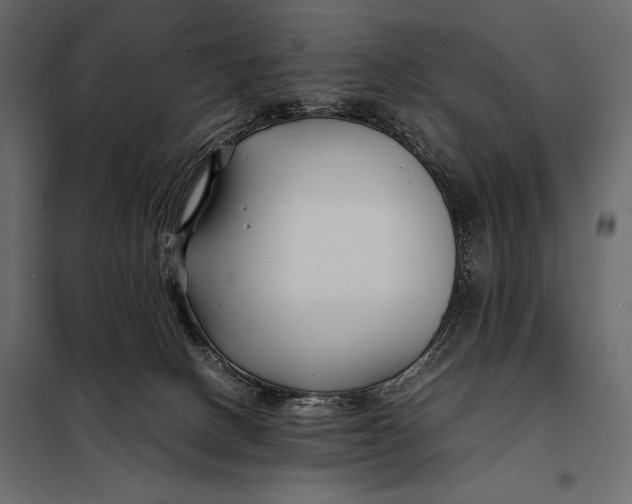 X0000098080082200804251523