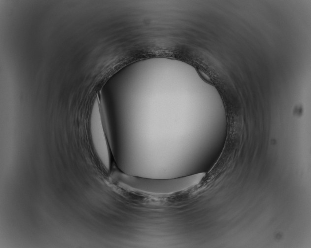 X0000098080084200804251523