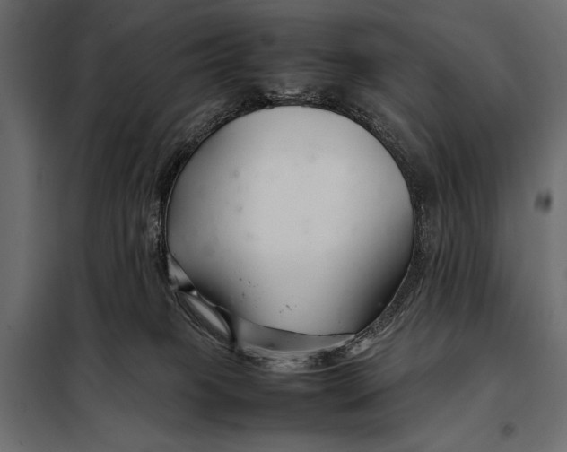 X0000098080085200804251523