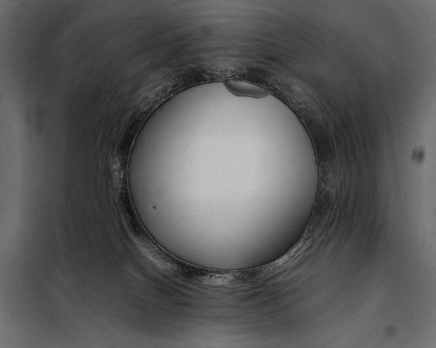 X0000098080086200804251523