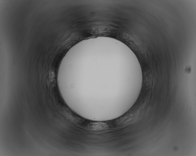 X0000098080087200804251523