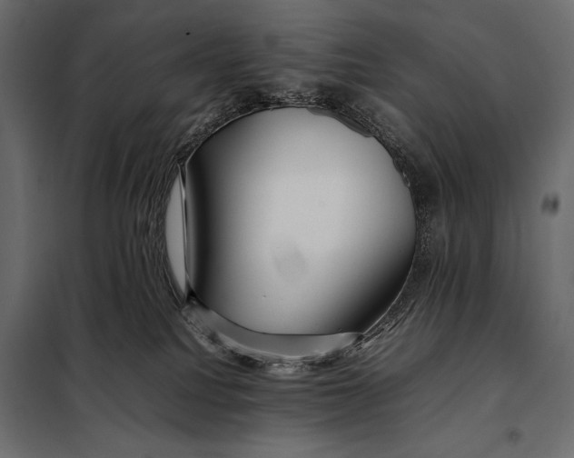 X0000098080088200804251523