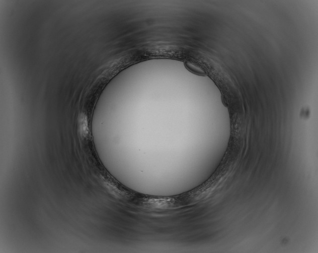 X0000098080089200804251523