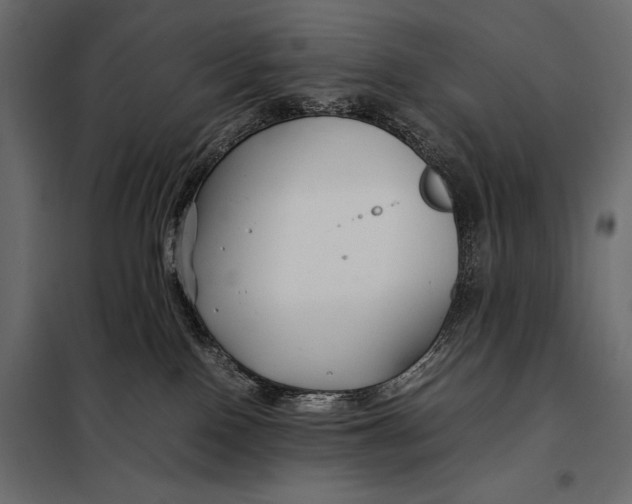 X0000098080090200804251523