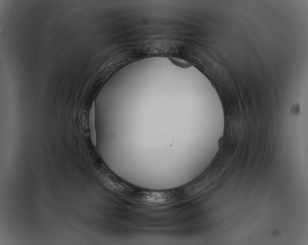 X0000098080091200804251523